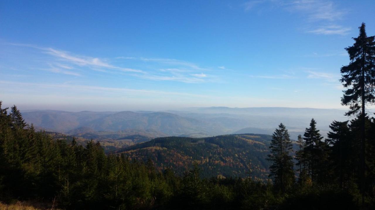 Vila Nejdek - Erzgebirge Aparthotel Esterno foto